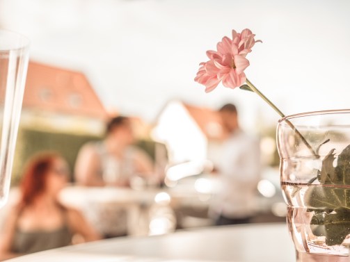 sommerfest-3450787_1920